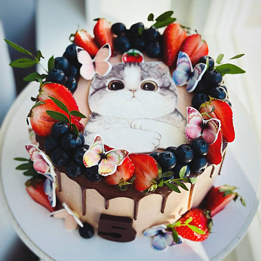 Торт "Котенок" купить - серпухов.сладкоежкин.рф